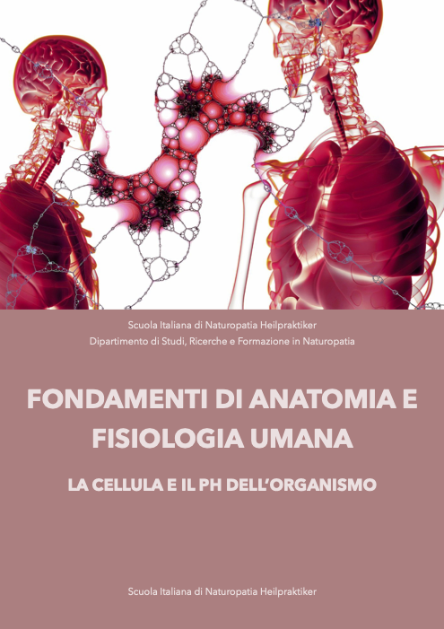 Fondamenti di anatomia e fisiologia umana