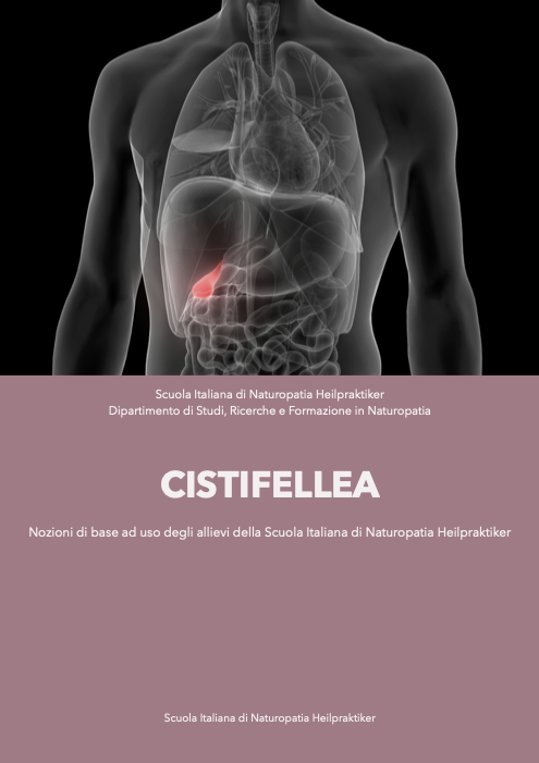 Cistifellea
