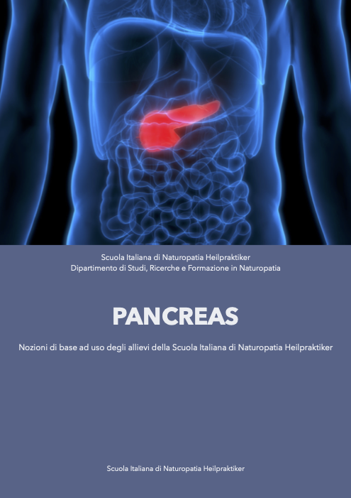 Pancreas