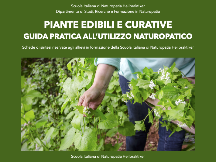 Piante edibili e curative