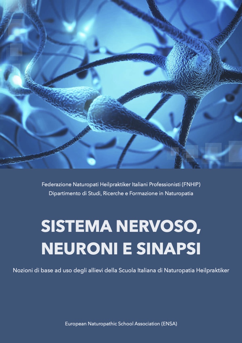 Sistema nervoso, neuroni e sinapsi