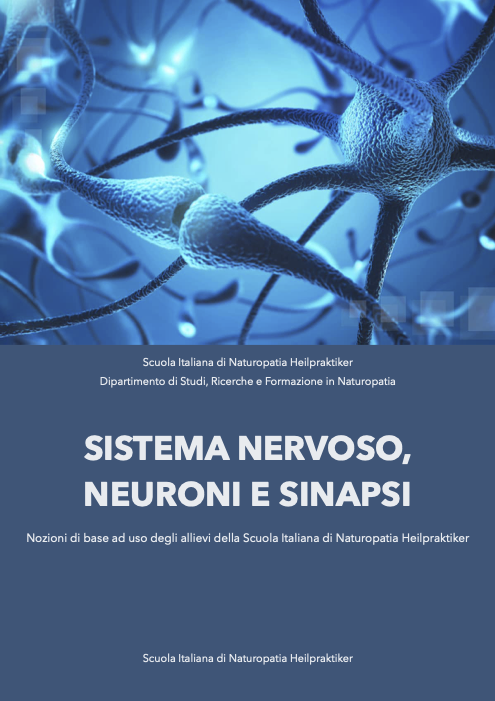 Sistema nervoso, neuroni e sinapsi