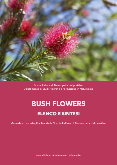 Bush flowers