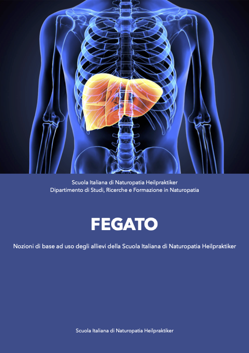 Fegato, cistifellea e pancreas