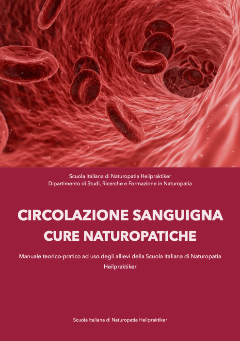 Circolazione sanguigna