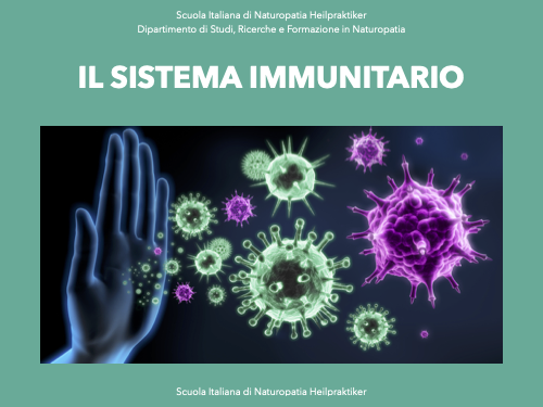 Il sistema immunitario