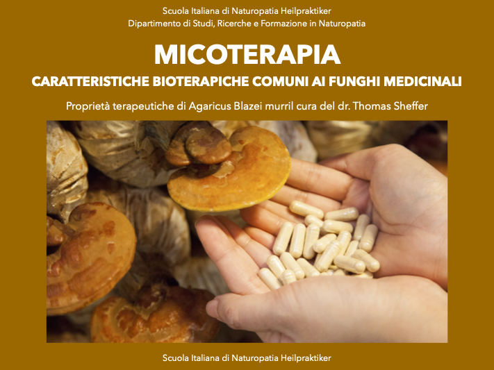 Micoterapia oncologica