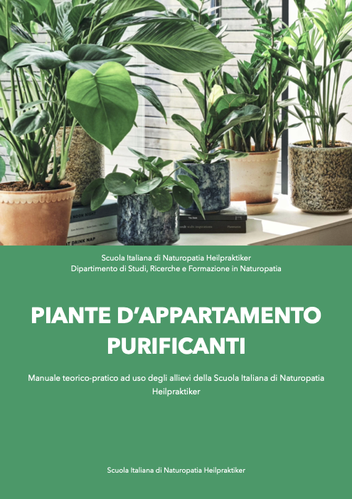 Piante da appartamento purificanti
