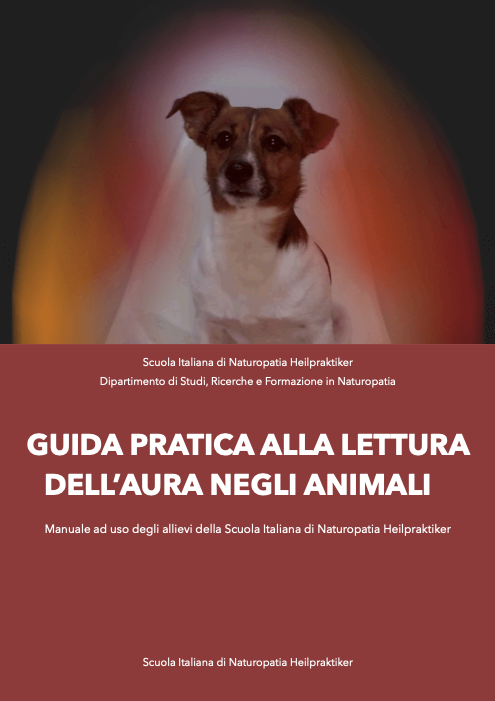 Guida alla lettura dell'aura animale